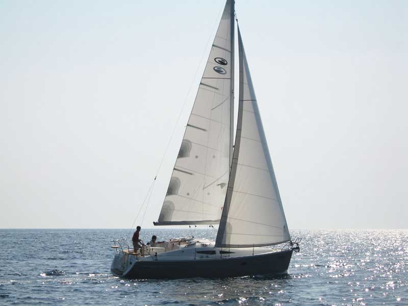 Amazone Elan 344 Impression