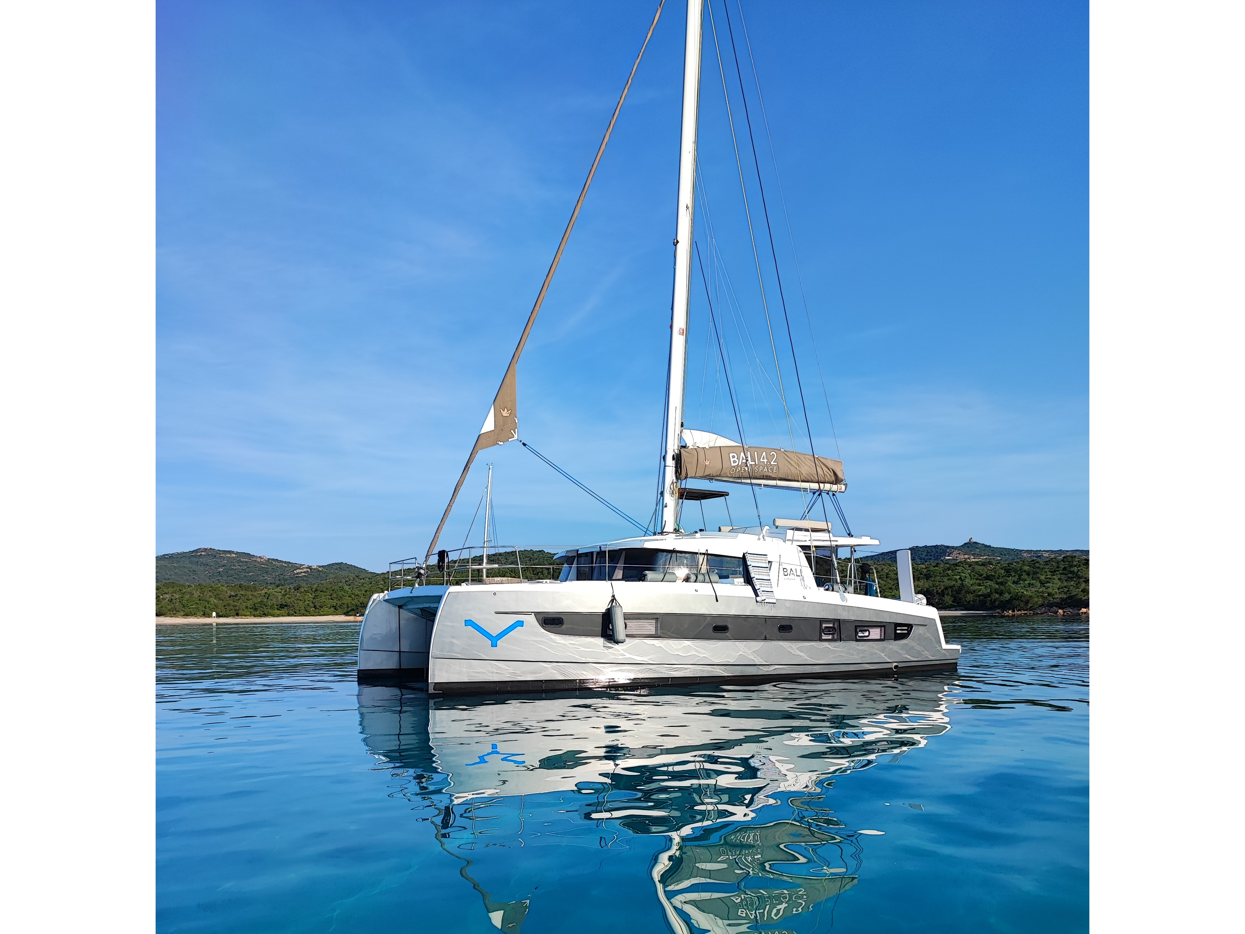 Bali 4.2 (2023) – Ziphius