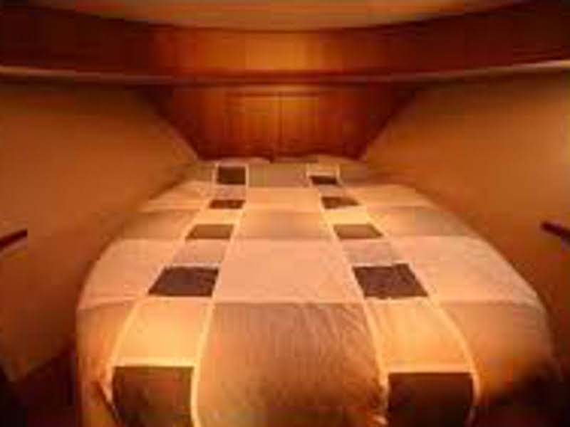 照片 Catcruiser 45 4