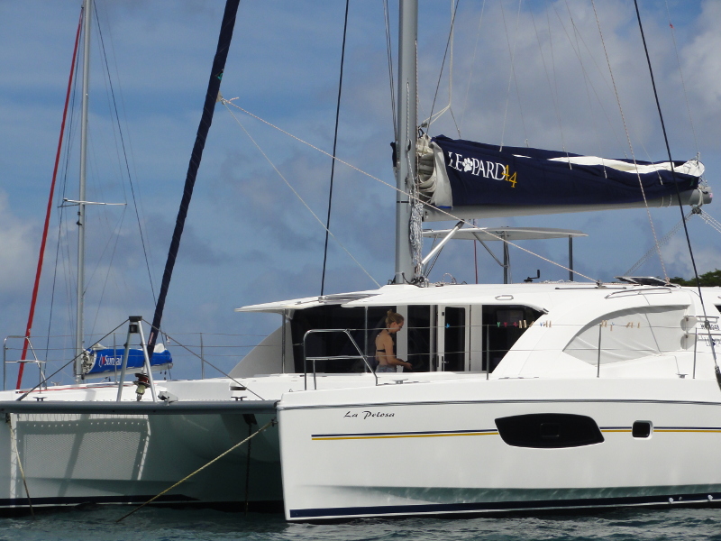 Leopard 44