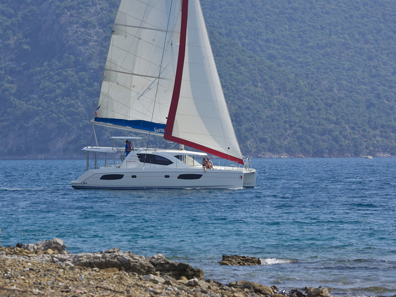 Leopard 44