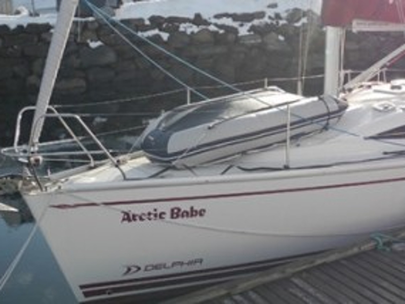 Delphia 33