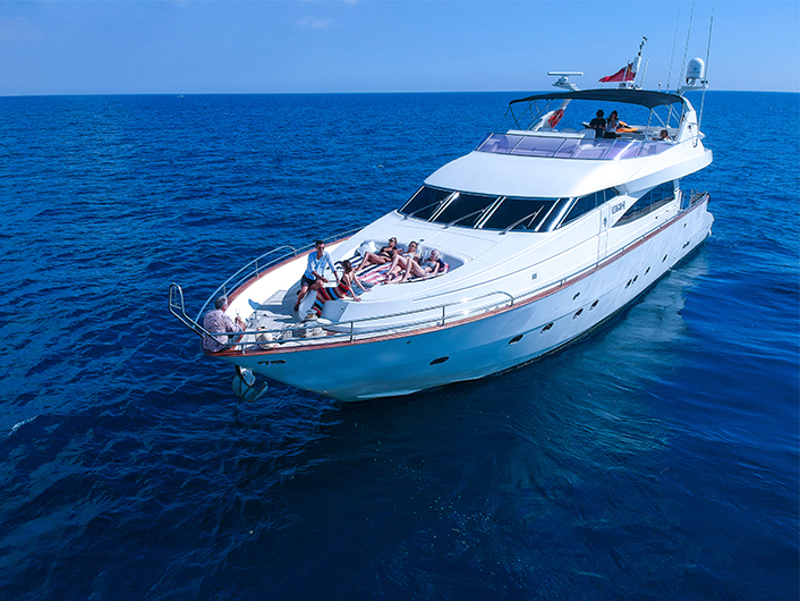 foto Mochi Craft 85 15