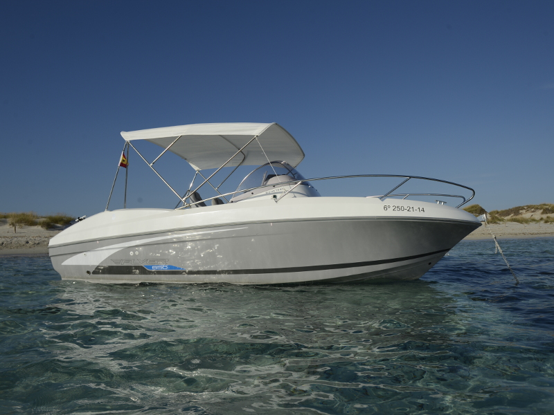 Flyer 650