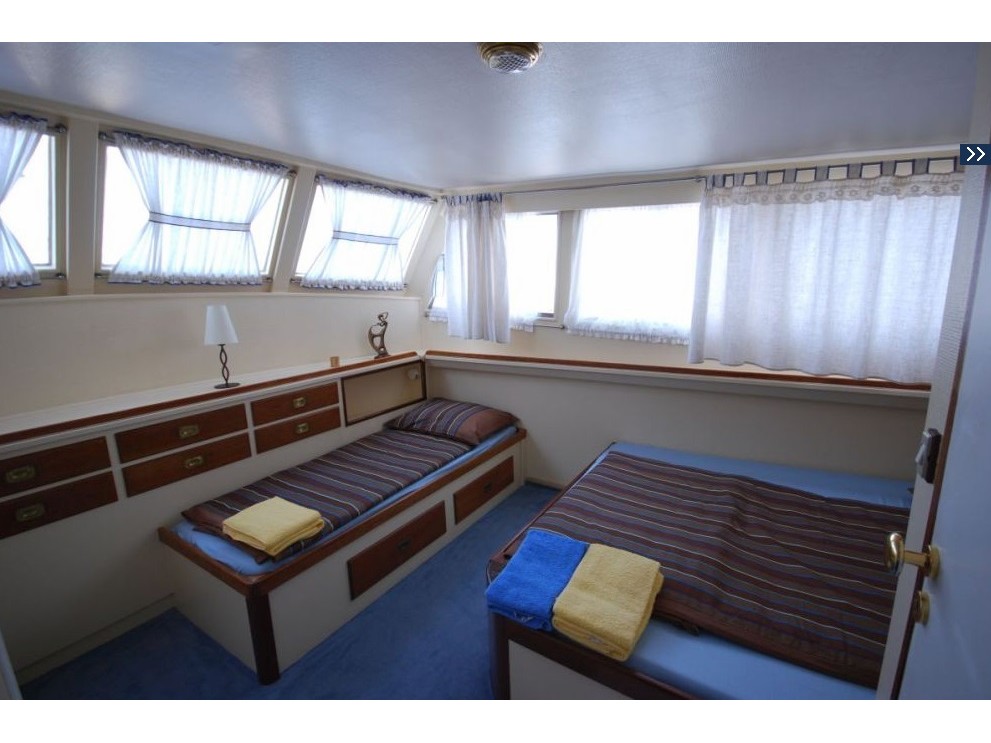 صور Fleur de Lys 2