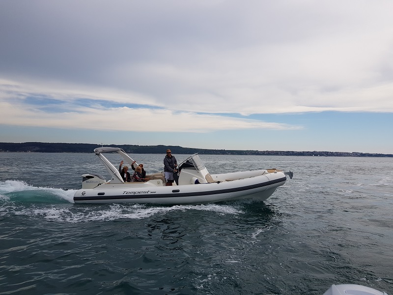 صور Tempest 800 1