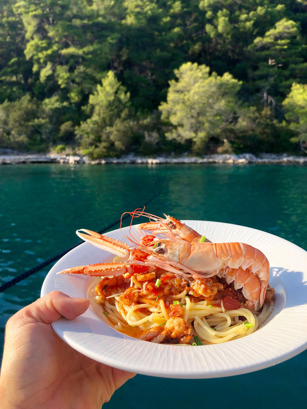 صور Lagoon 620 26