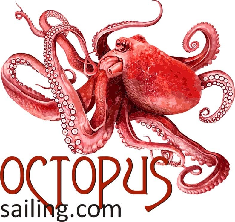 Octopus sailing