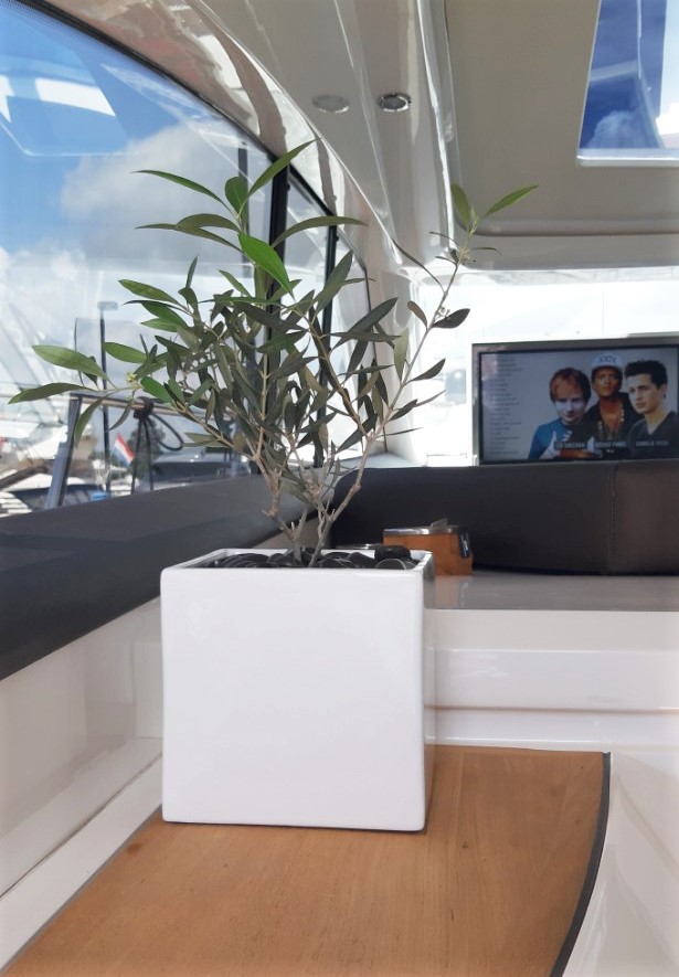 Photo Princess V53 25