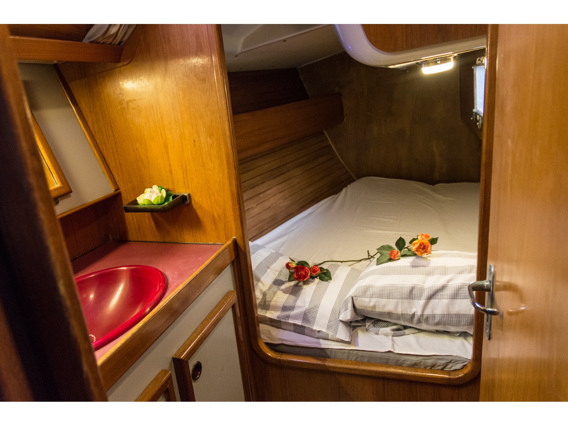 صور Sun Legende 41 3