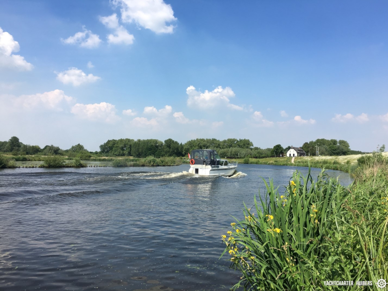 صور Pedro Solano 33 4