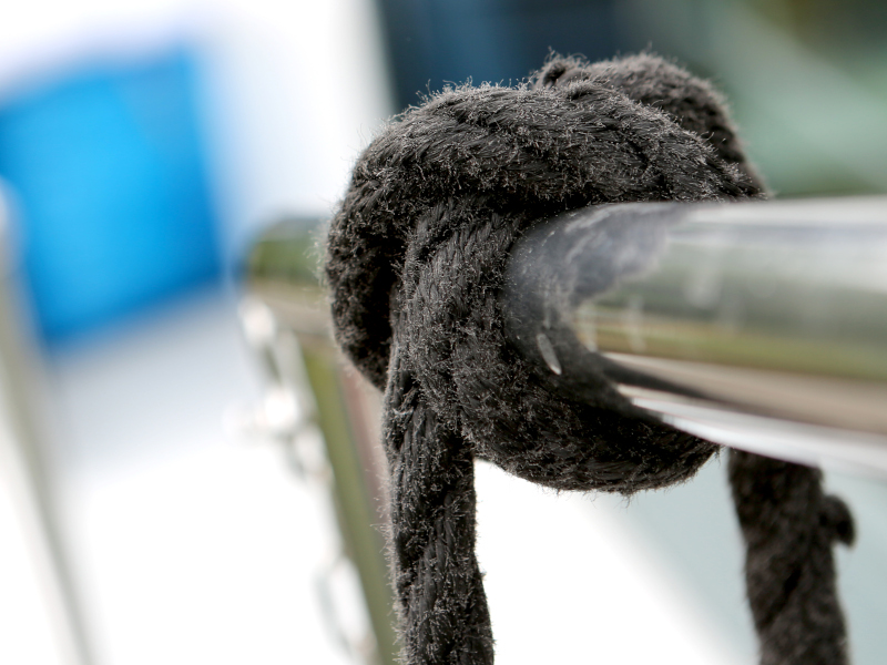 صور Pedro Solano 33 24