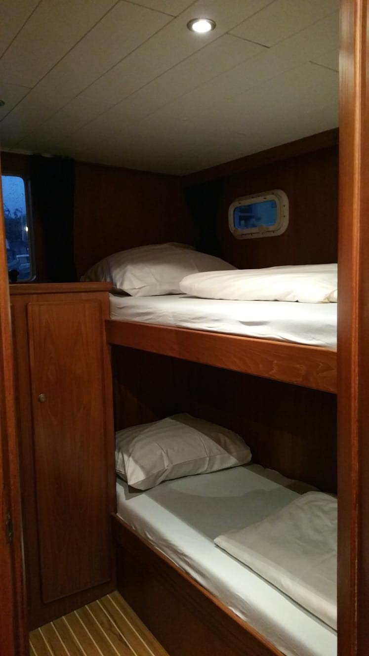 Foto De Drait Renal 40 19