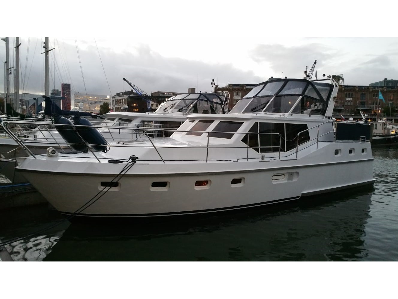 Renal 40