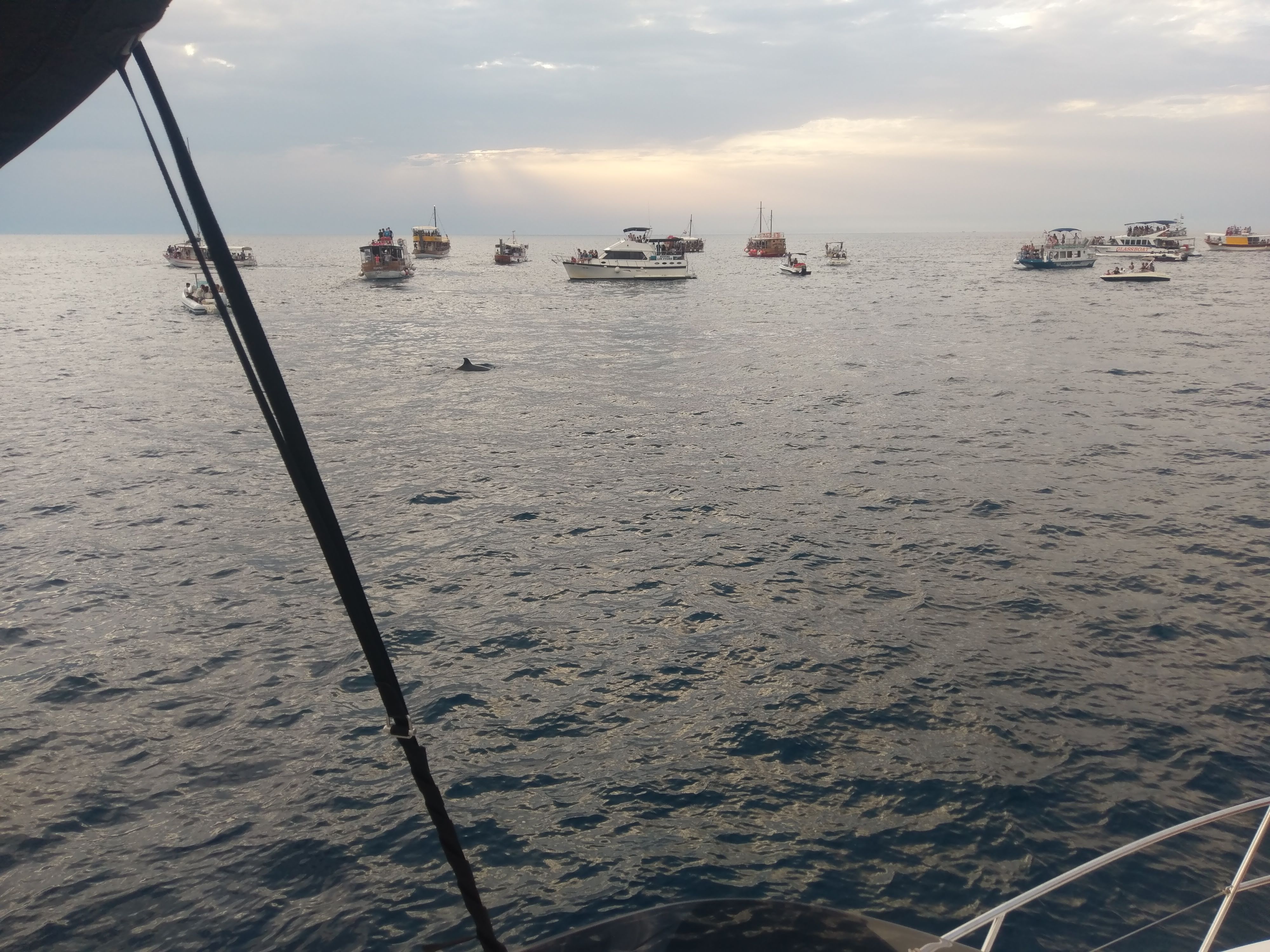 صور Antares 36 41