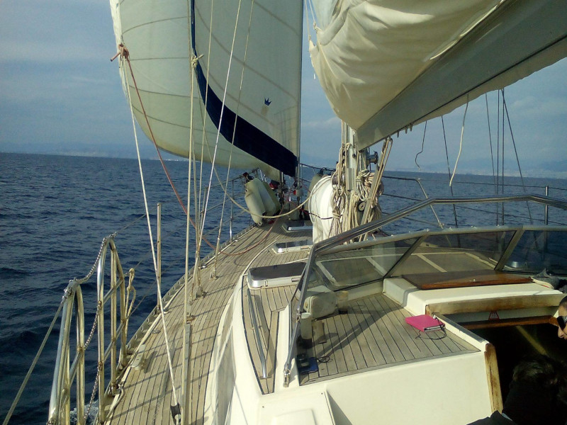 Freedom 58 