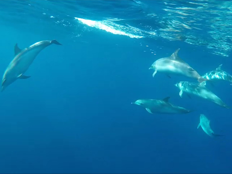 صور Lagoon 450 Sport 4