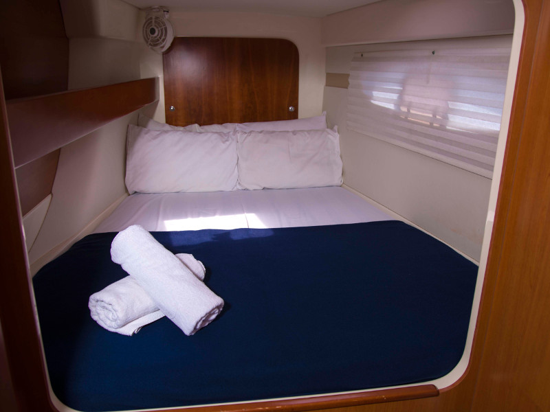 صور Leopard 384 6