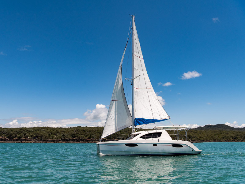 صور Leopard 384 11