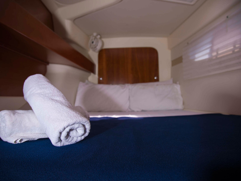 صور Leopard 384 16