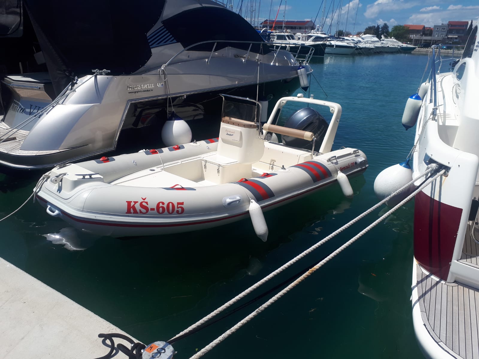 foto Barracuda 545 6