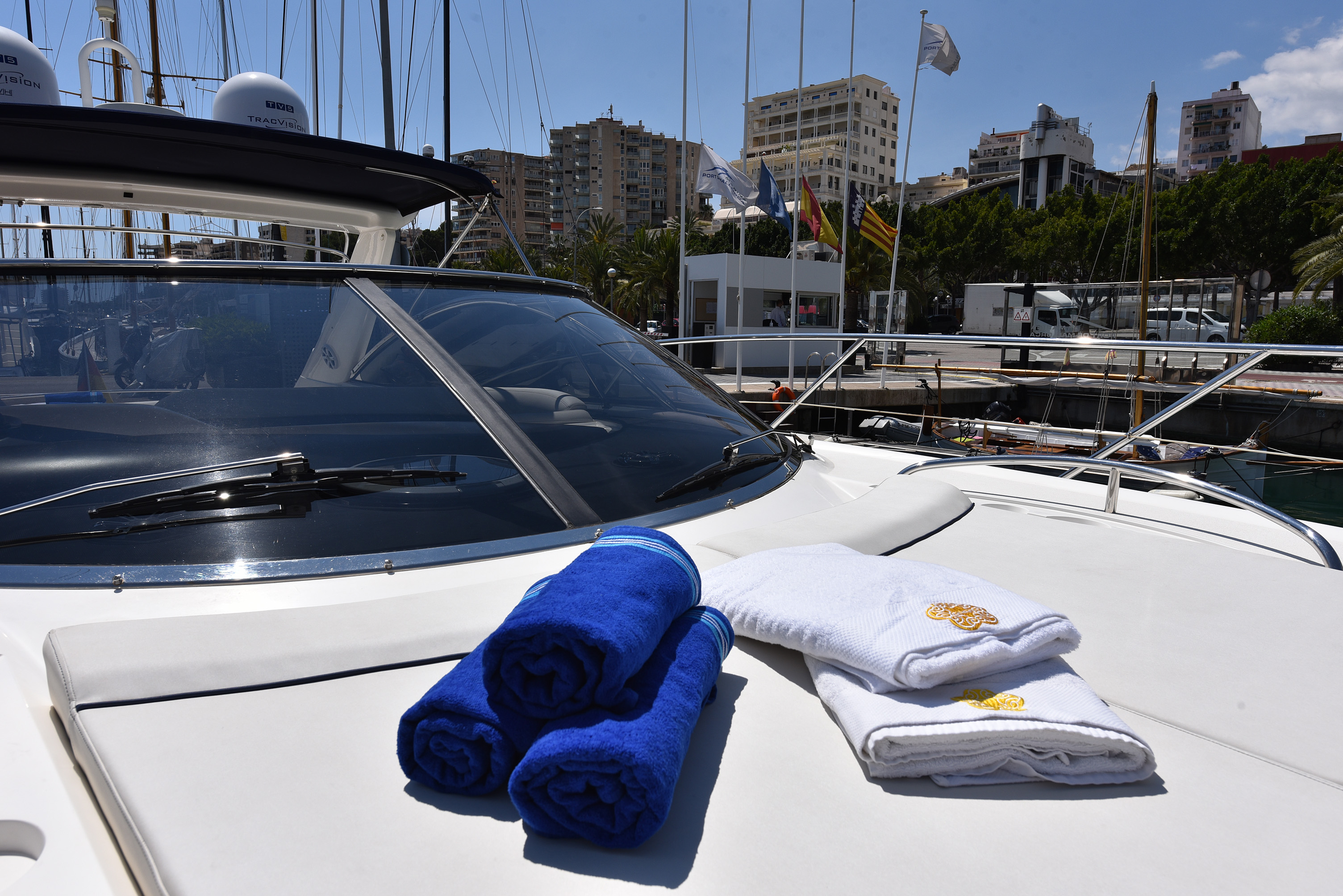 photo Camargue 50 14