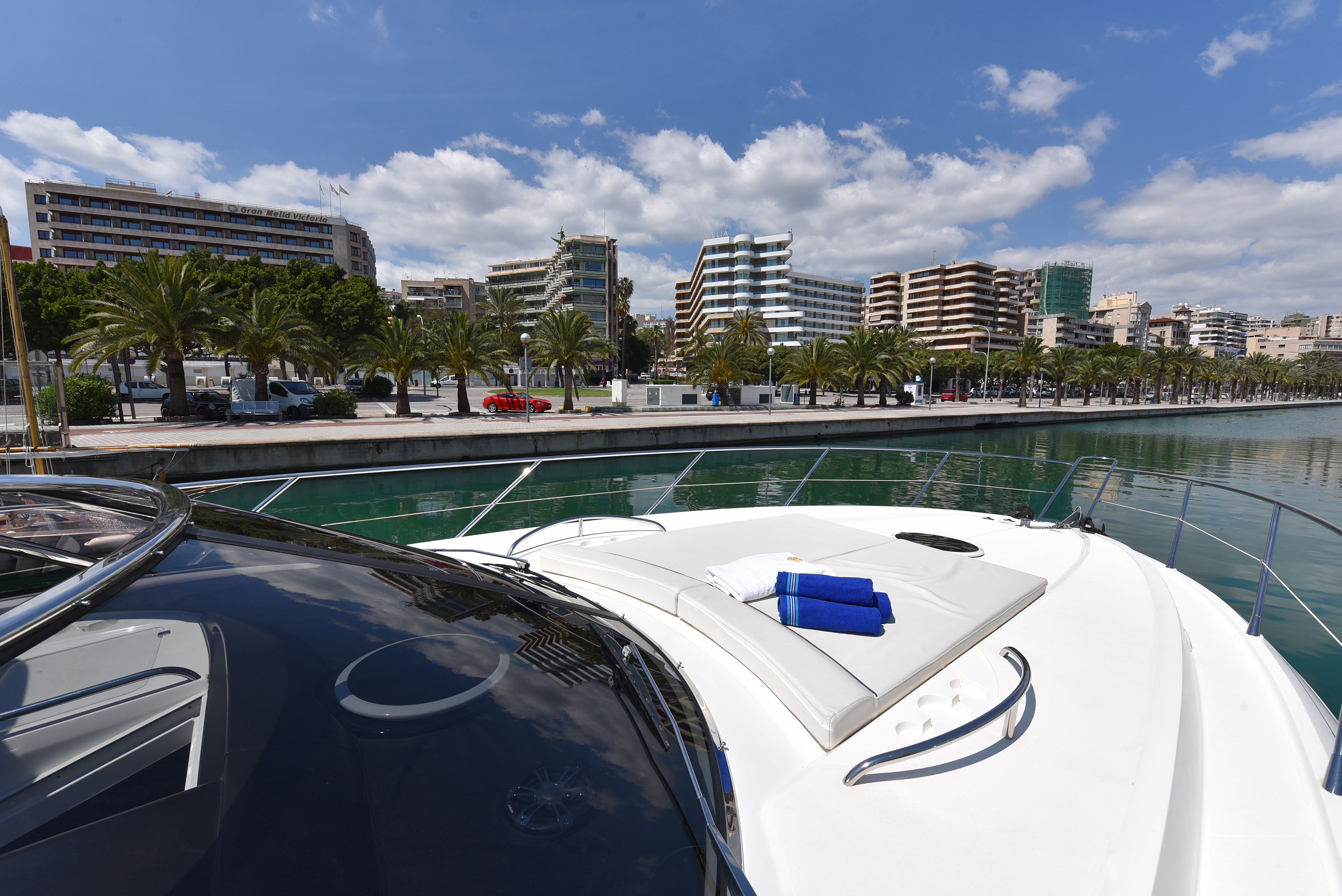 photo Camargue 50 15