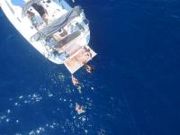 photo Bavaria Cruiser 46 11