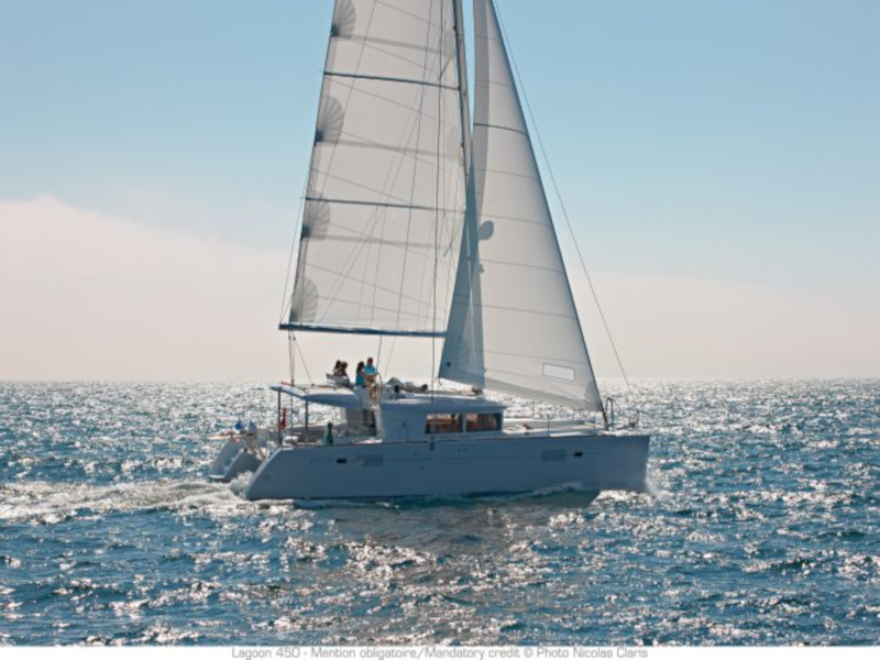 照片 Lagoon 450  Flybridge 5