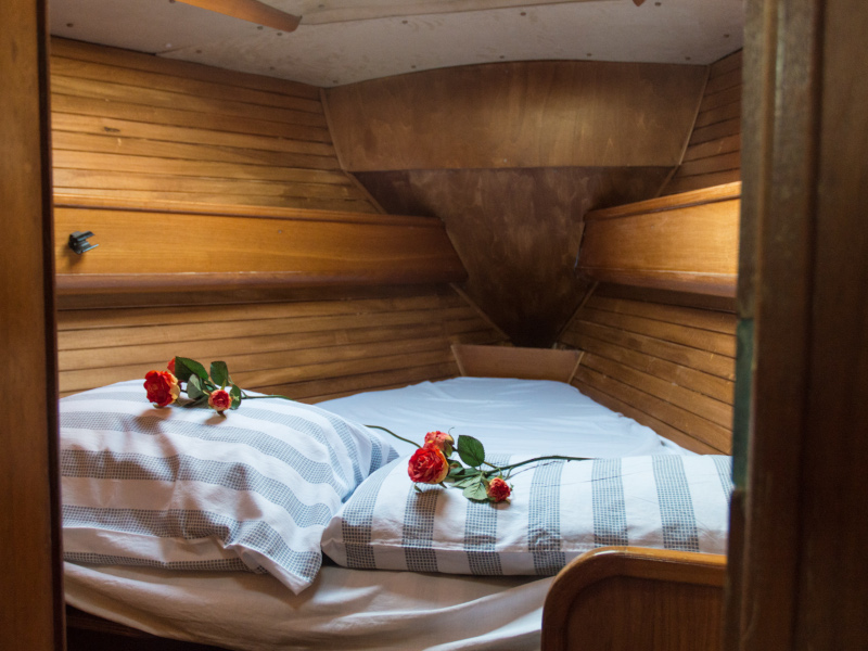 صور Sun Legende 41 6