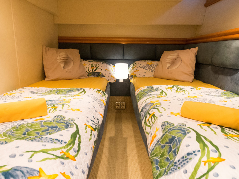 صور Phantom 50 12