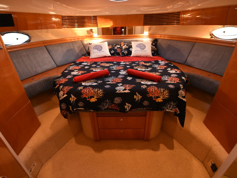 صور Phantom 50 13