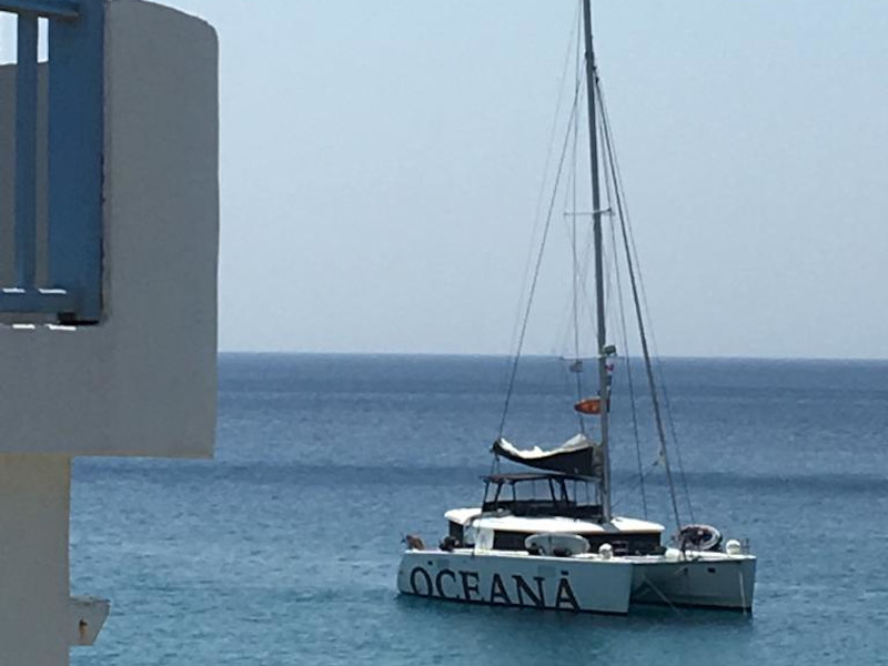 foto Lagoon 450  Flybridge 5