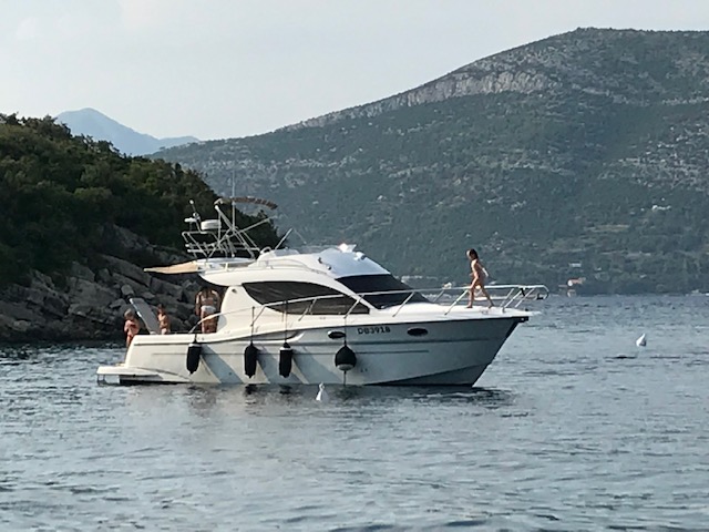 Sessa Dorado 32