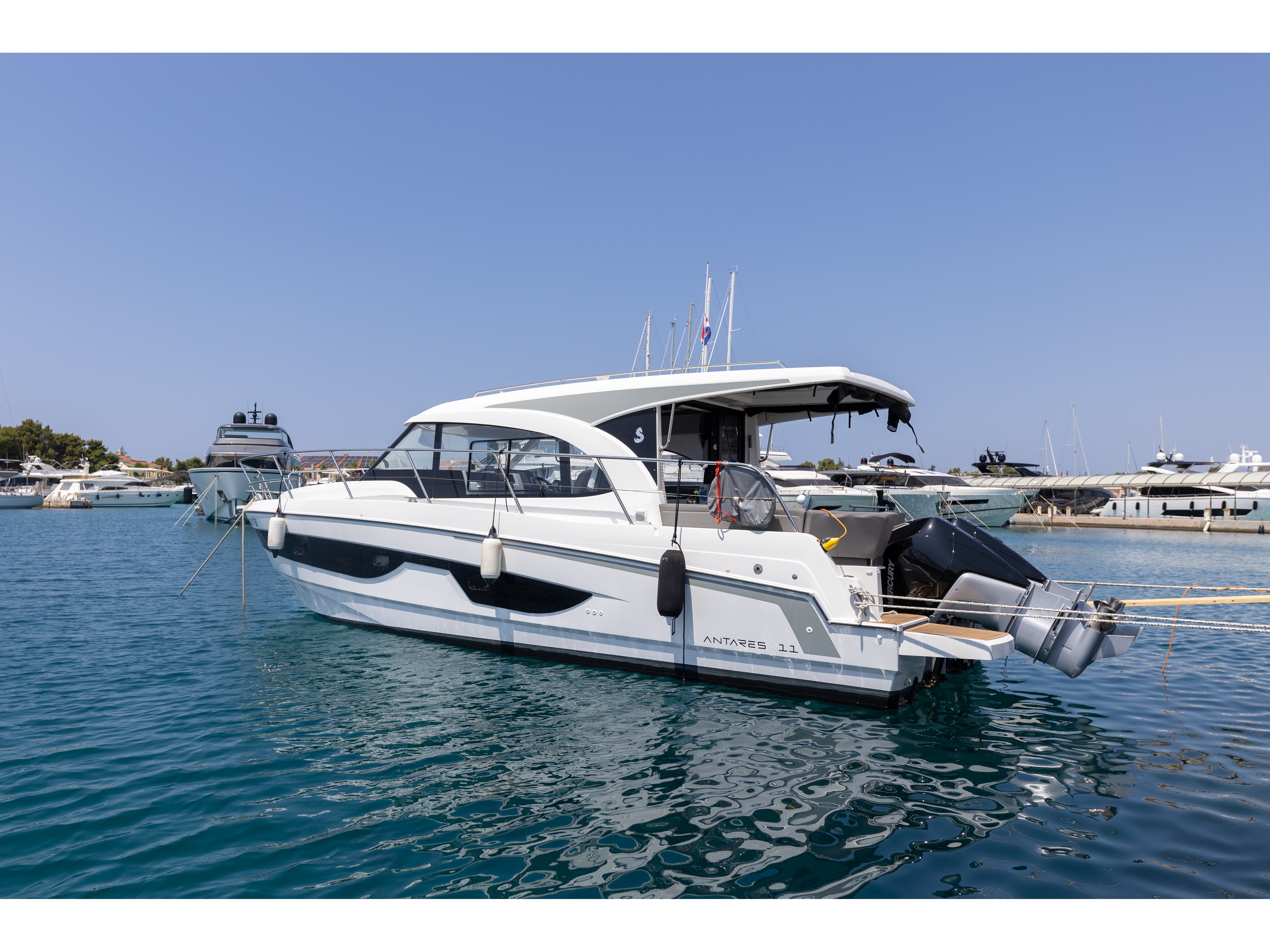 FALCON Marina Frapa
