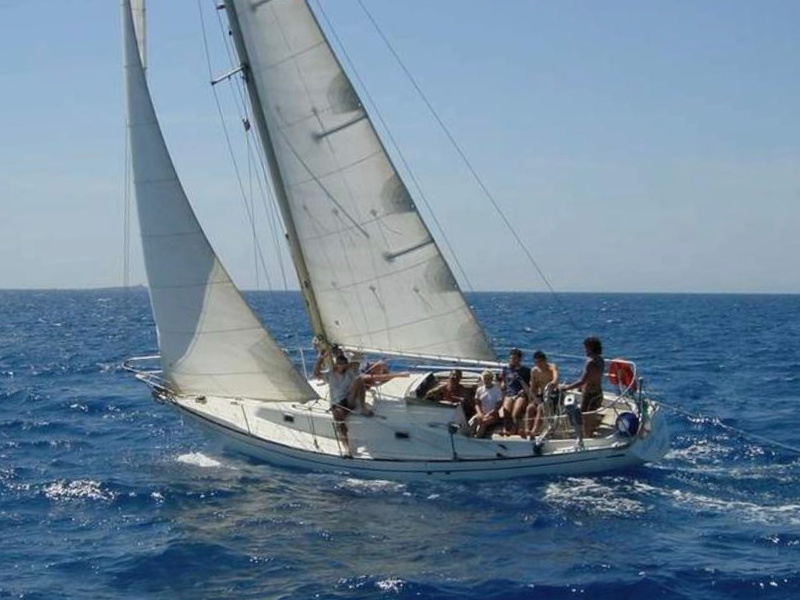 mini_swan_-_main.jpg