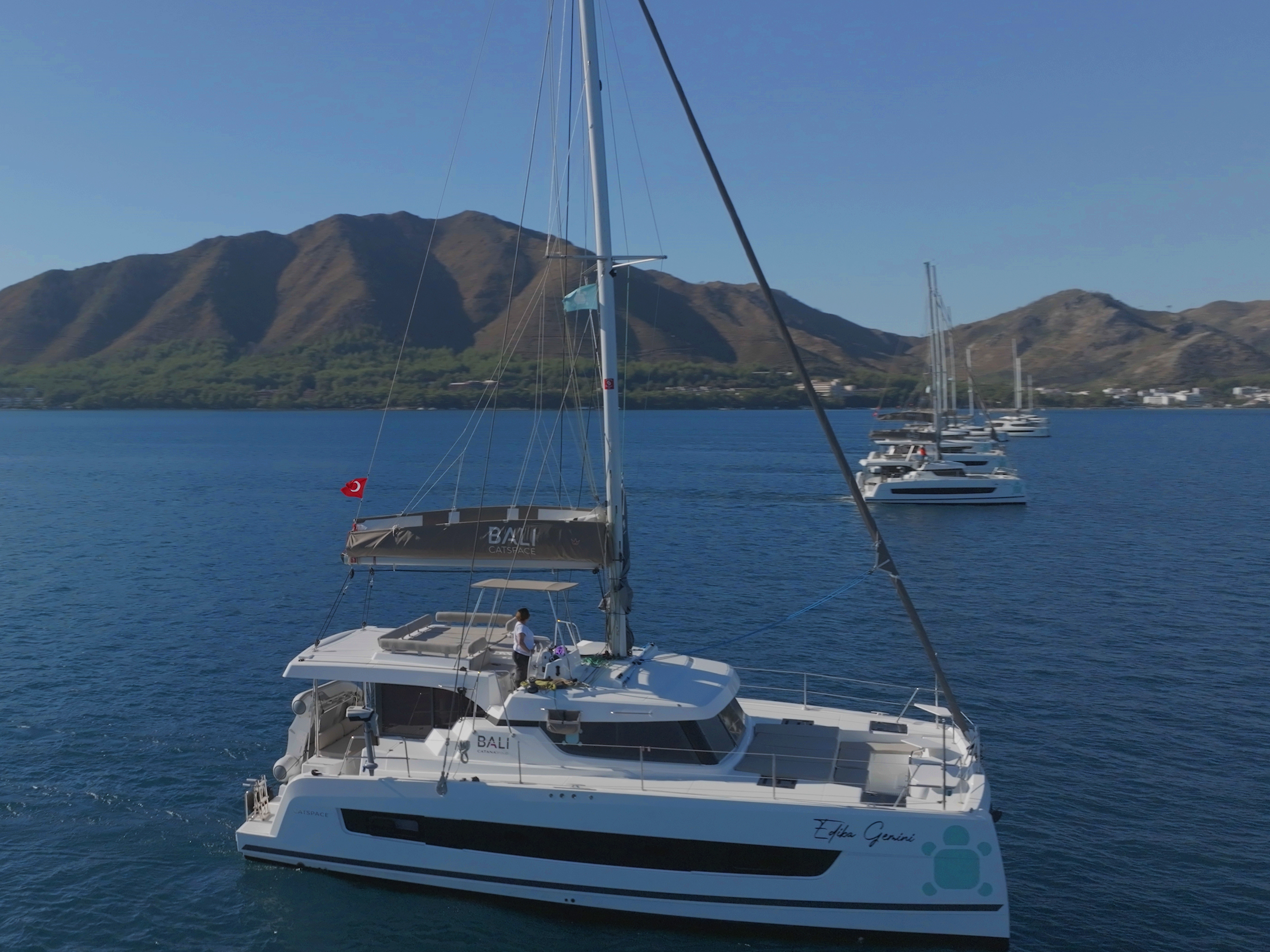 Bali Catspace (2023) – Gemini