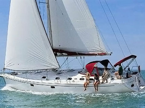 照片 Gib Sea 51 1