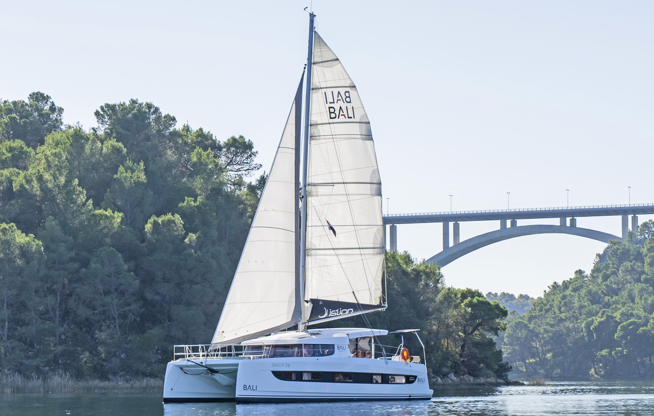 Bali Catsmart, Skradin