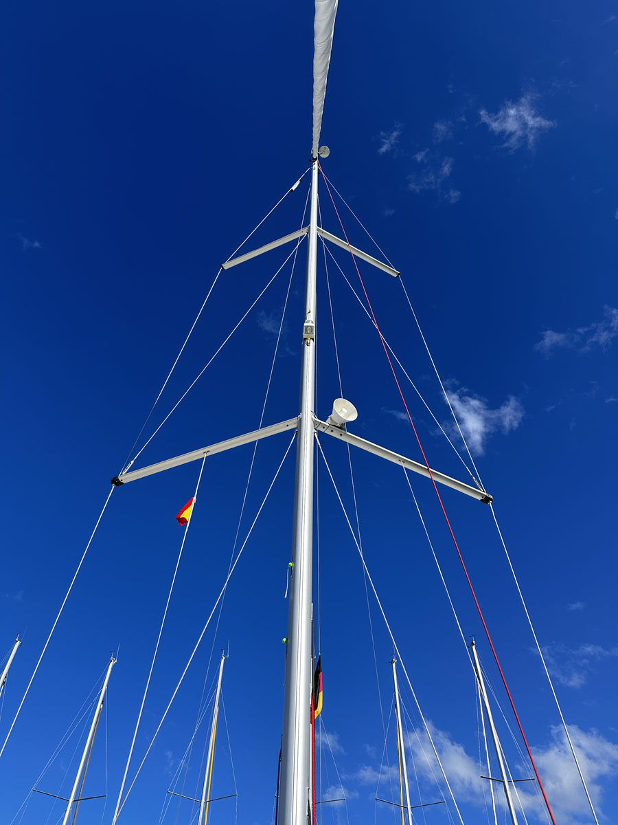 Sea Pearl, photograph 8
