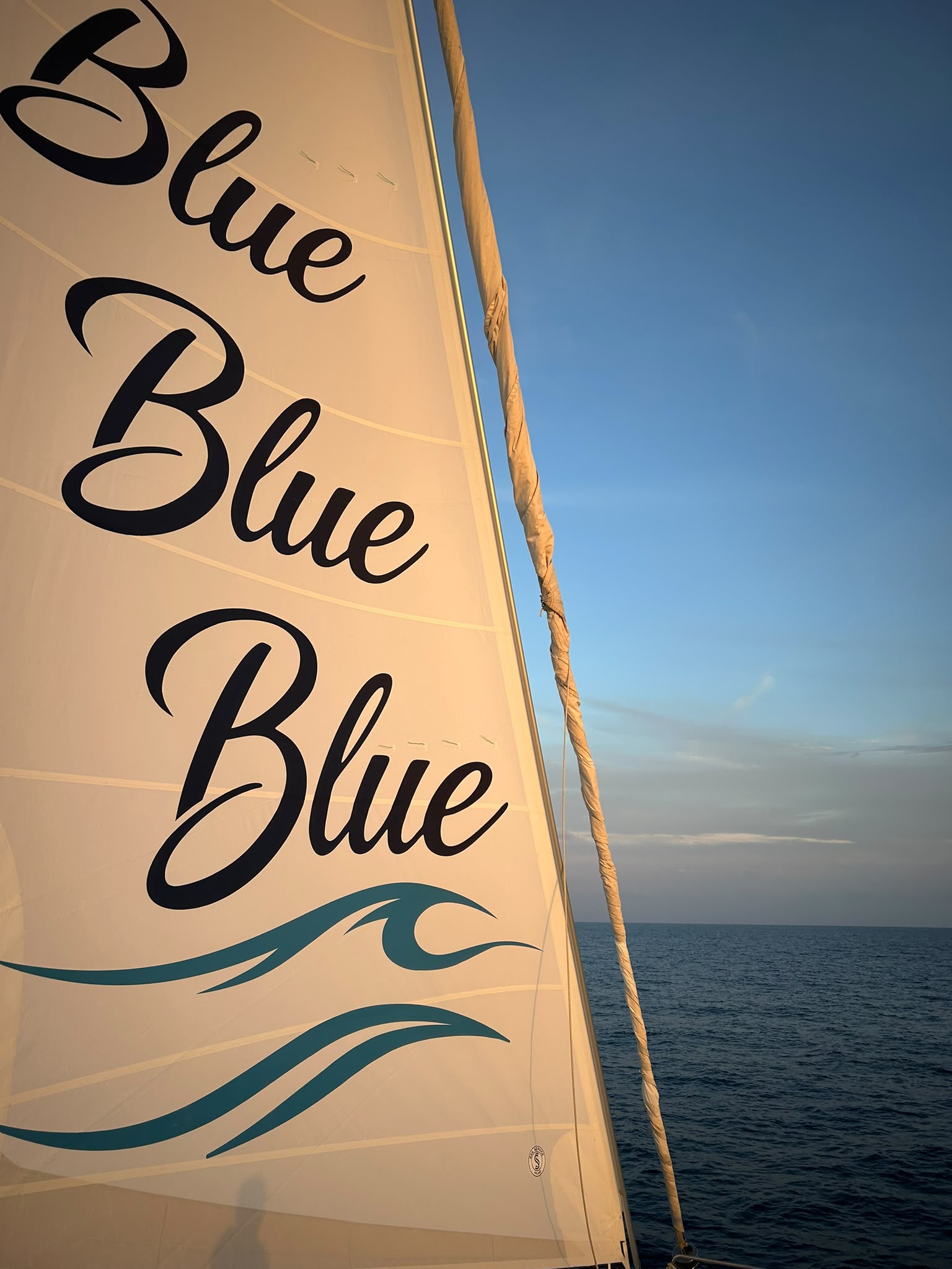 Yacht image 16