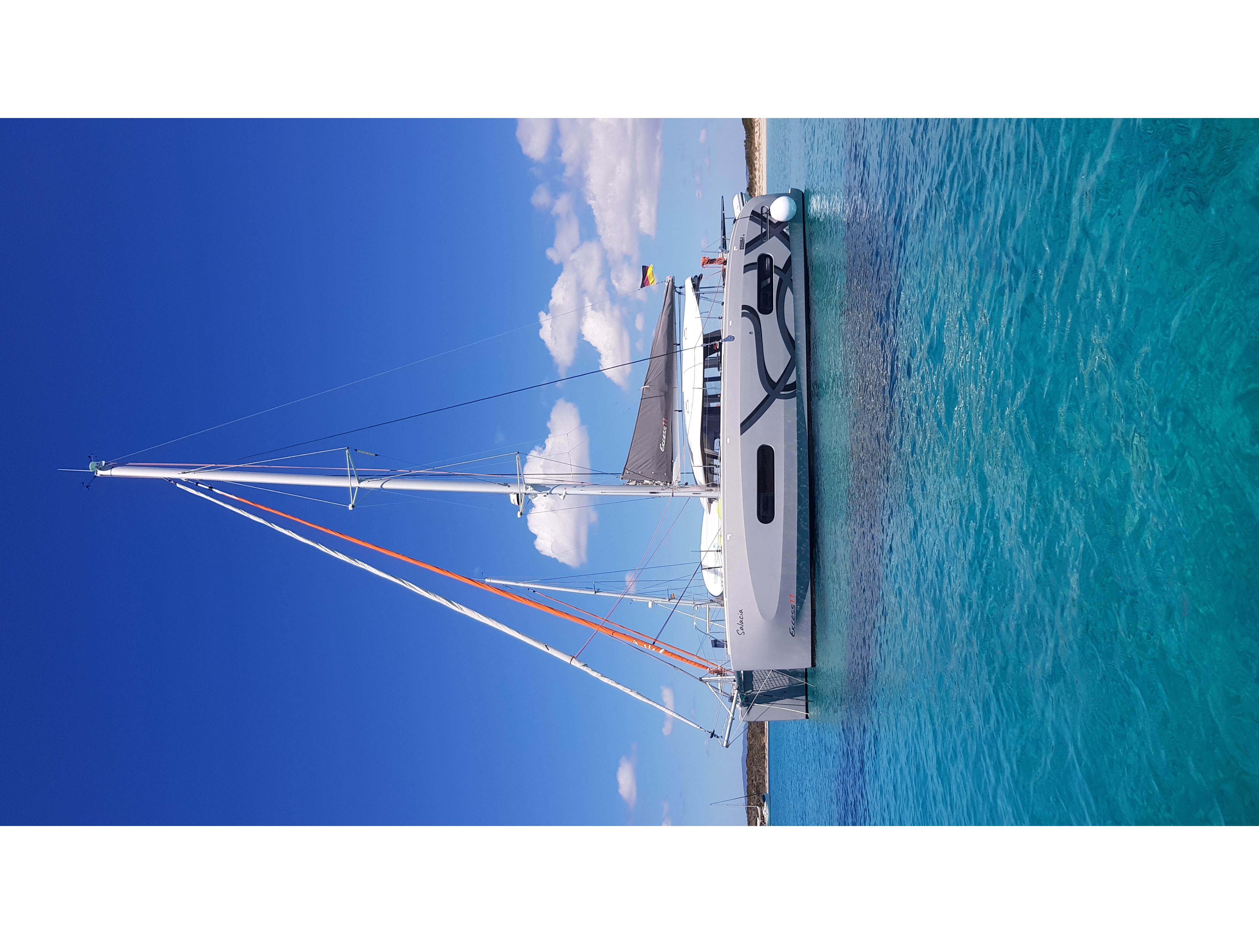 Excess 11 (2023) – Salacia