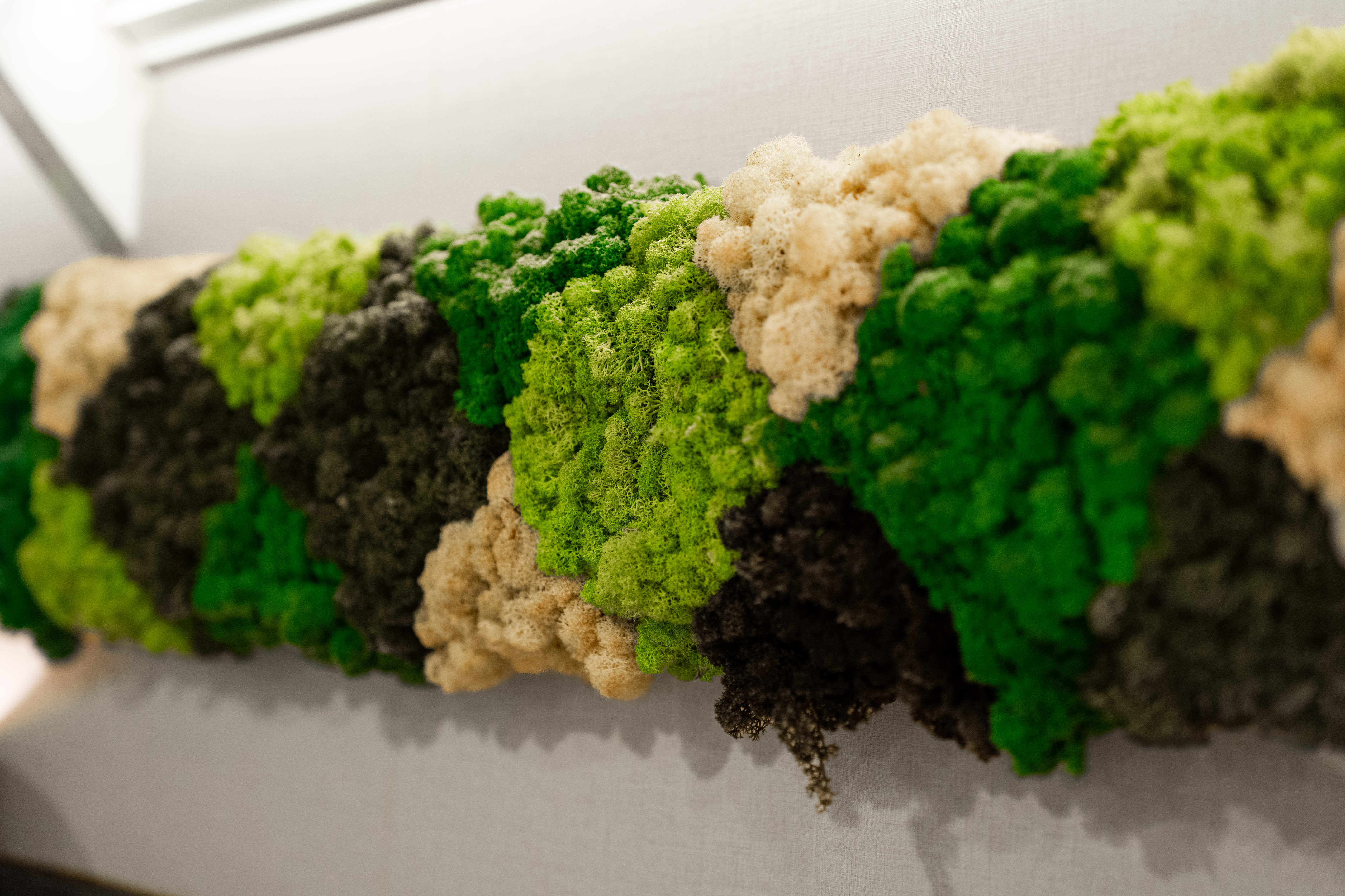 Antaris, photograph 40