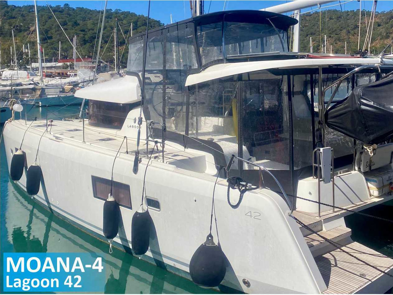 Moana-4_main.jpg