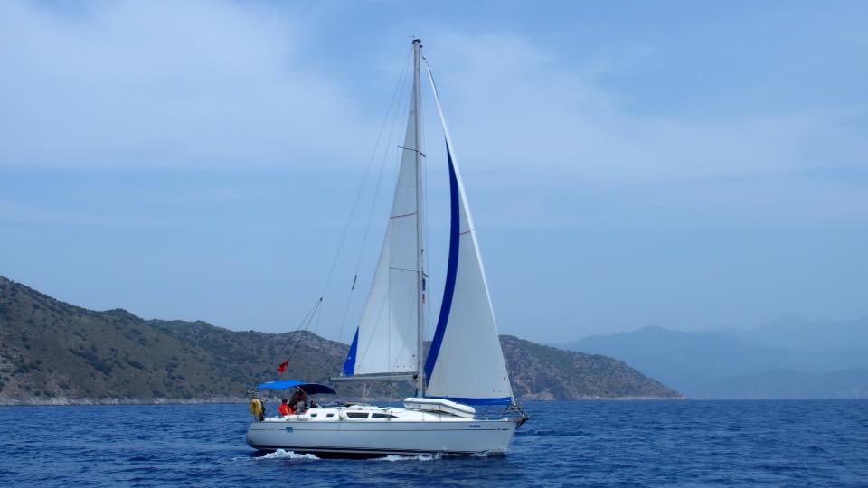 foto Sun Odyssey 37 10