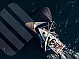 Elan S3 - 