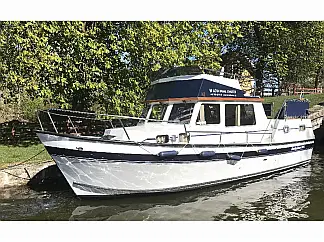 Husky Dane - External image