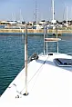 Lagoon 42  - 