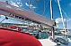 Oceanis 41.1 - 