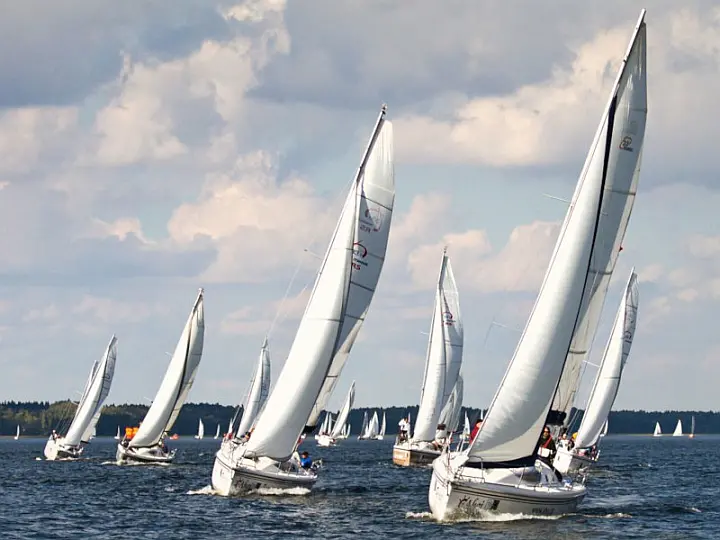 Maxus 33.1 RS Standard - 